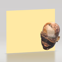 satoFace