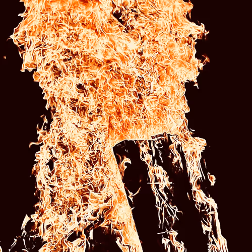 Untitled Collection #112552803 - old