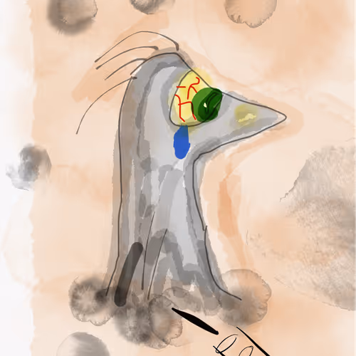 14081857202367375704798012674462312555342670751322459939056843595909408227329