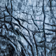 Arctic Blues (Bonus Companion Piece)