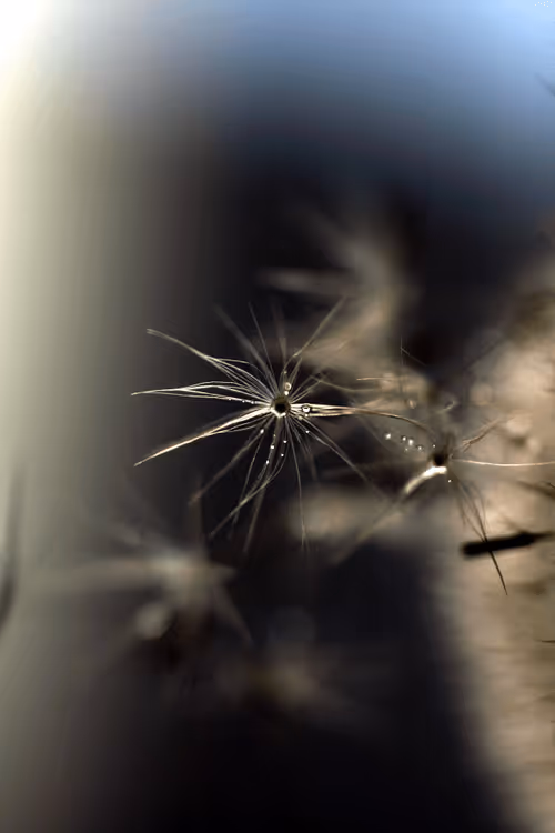 Item #13606181839721576894155883308236999132816604807813273145513526370357968109569 Media