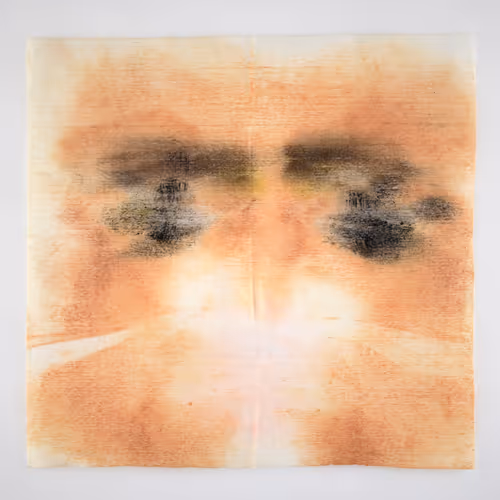 Item #34437631450582783918262521247157200315714719176273242146482300226109289005057 Media