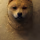 87897778527904952366690285991632176129735310867386912489173561033897673752577