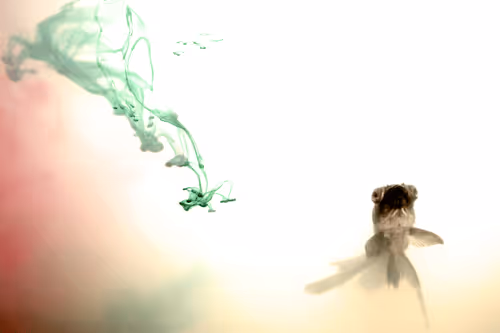 Item #101713277105975589639880448454091243544280285560533982294413790935375918661642 Media