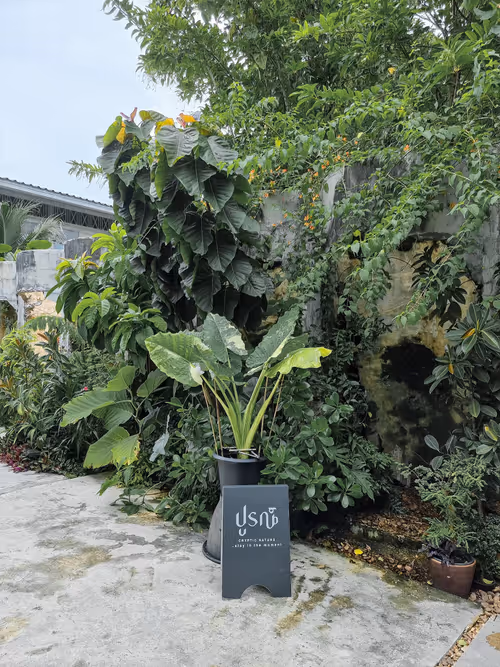 Item #61748312555266975109451486537523370227541378118853979631158962854056511406081 Media