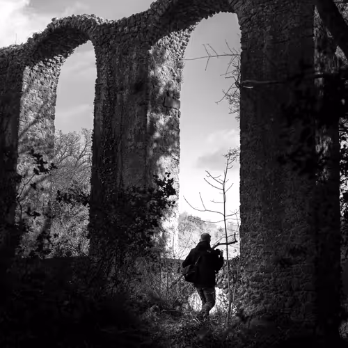 944955413634238325835746562904086500081877140248252026588839909144307695617