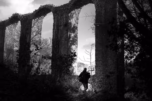 Item #944955413634238325835746562904086500081877140248252026588839909144307695617 Media