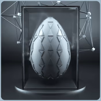 Eggs Carton