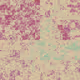 peaceful color design