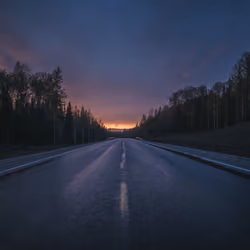 Road into the past