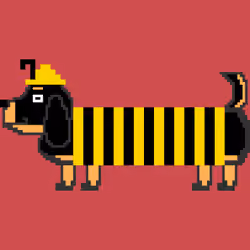 Dachshund #030