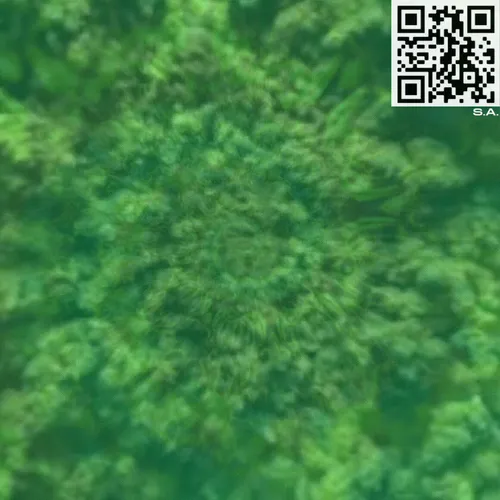 61089433673675855013240100592429788426200334601701735580530433900541189816321