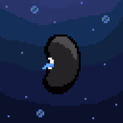 29186005980226048692422985619540938466988125519081229068962037905618987122689