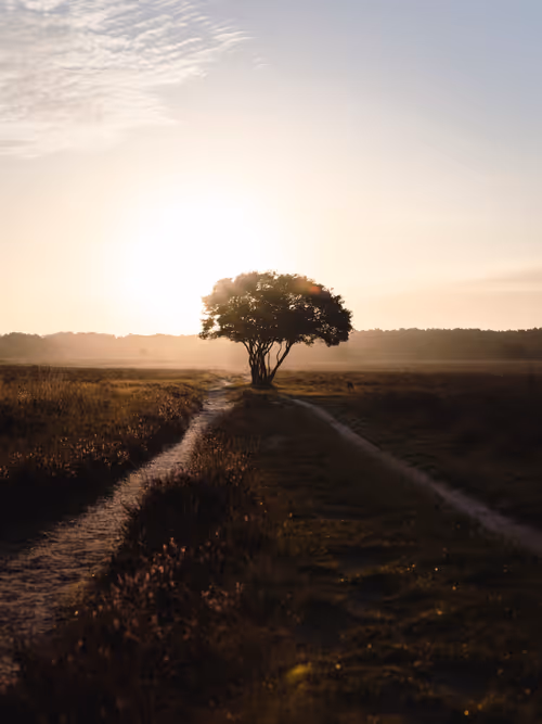 Item #3461261320663593426900354360876375017663922749216533272399435642228051017729 Media