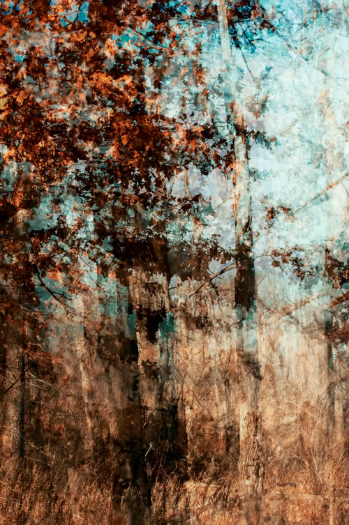 Item #62539403669685025686501917752583398735289456907083576647732505221733929713665 Media