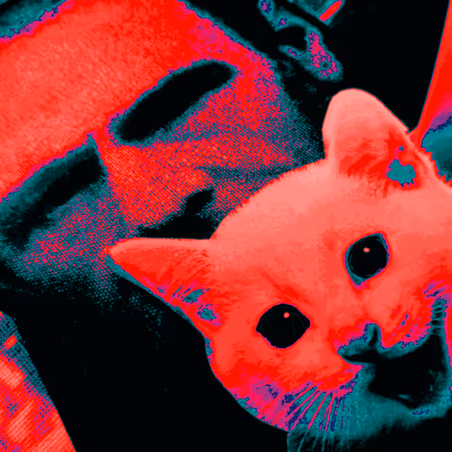 4747115153065902387790593868107453782499677024781155622119190219299846356993