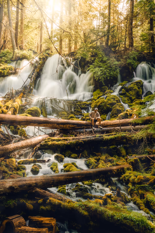 Item #91533776349707107334996359426163394312914568393480287964012023567976272756737 Media