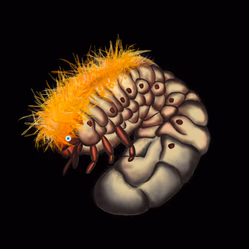 Item #63394889464776947640994999177042947820752530038038357440375934266960273997825 Media