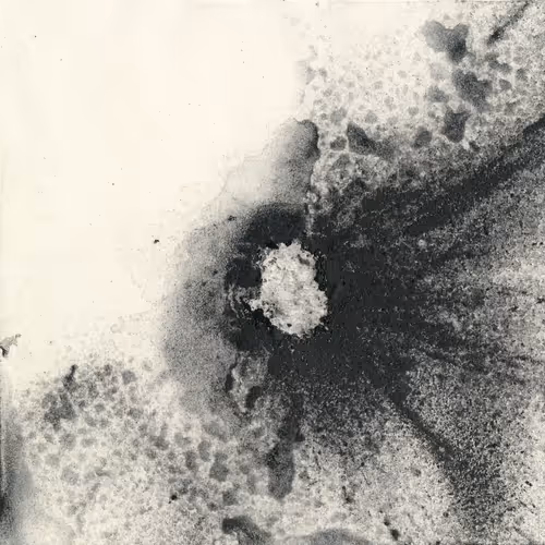 Item #83308933243547044610050520543133130001777721092000221947954522015129856376833 Media