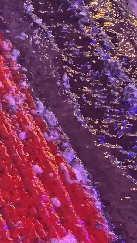 Item #62402000334580523921237358418718502457721815832787791947048085086988899713025 Media