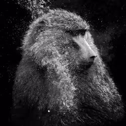 97390858549290517915673057044451120522321858296040786888435299454000864165889