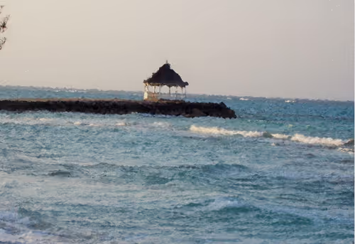 Item #52182003056719623543075732543608248748892502658984332936685367665788043919361 Media