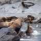 Alaskan Adventures With Billy