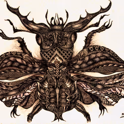 51848068981879456426967655835962977411748958395961382296505257786529063895041