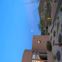 Arizona moon