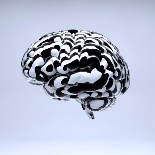 Item #77412820926303725204956055566925211190020908428863033075197849074185491447809 Media