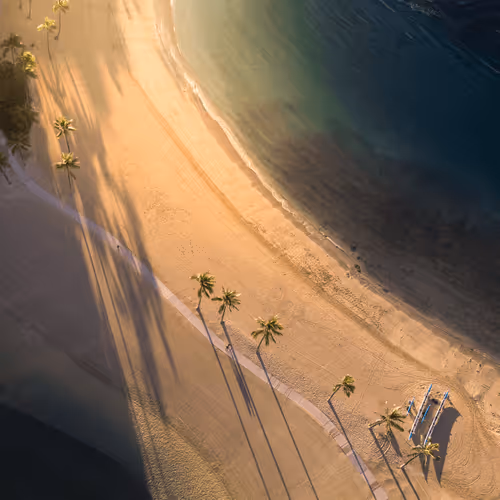 Julian Lallo Editions