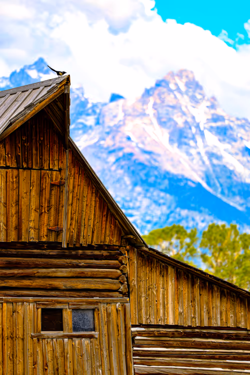 Item #15297189145007819332952477315735476032529554073284948694775240687136456835073 Media