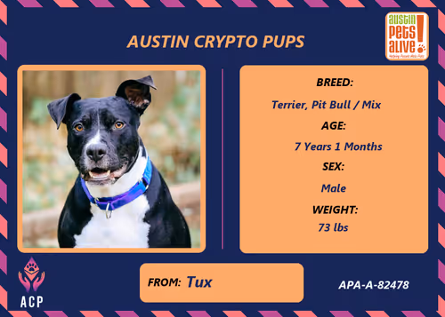 Item #17951378556605612276483806045649535824451571419947225201384628553532942843905 Media