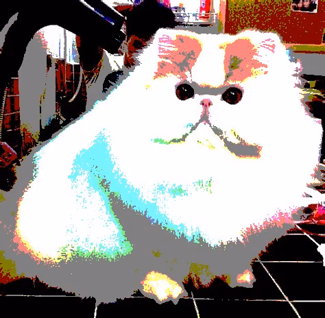 Item #23538819986925566434507765811444276093104658907602947149672917427370323869697 Media