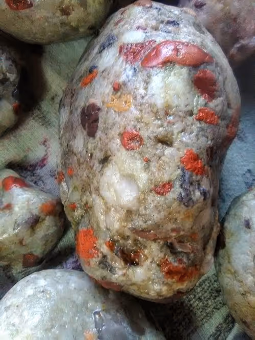 Item #2953591008869991525479195481978449020908380136781448361596082519463610548225 Media