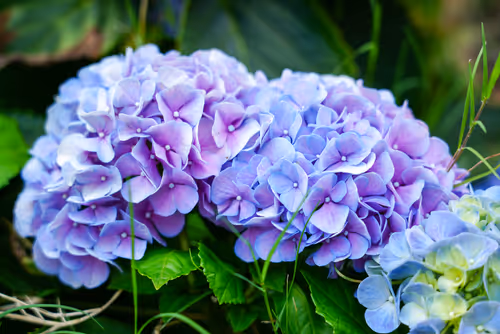 Item #104376002949691435372186332922329426885438855104179935790586764288367660105748 Media