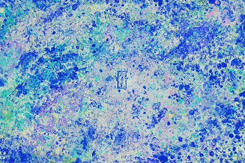 Item #43935573006869687421940908989294236573118200621307951795374297320410461503491 Media