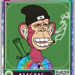 Stoner Ape Doc.XD Companion Card #3933