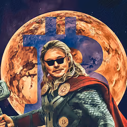 Almighty Musk #5/30