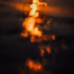 Blissful Bokeh