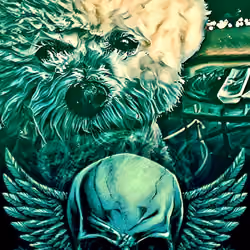 CRAZYDOG