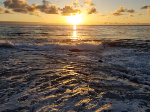 Item #36797478990227503802515544271343238965940869473164843468653790204141974323201 Media