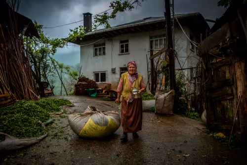 Item #113076858073467689643899346796900450933537958386378511512148870035246927577089 Media