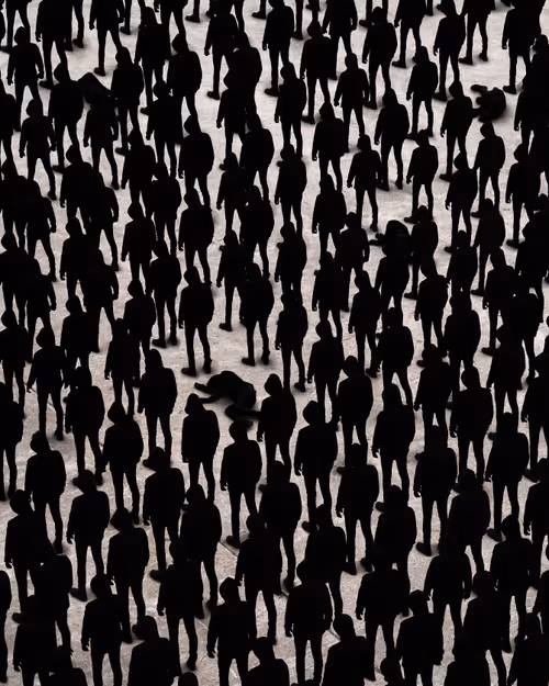 Item #77796582538637659253080515519361525842477380257073021786458905055722387537921 Media