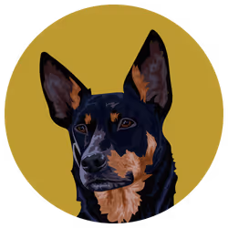 54766349128176429303044182404049584425310907481653304317570413921036727746561