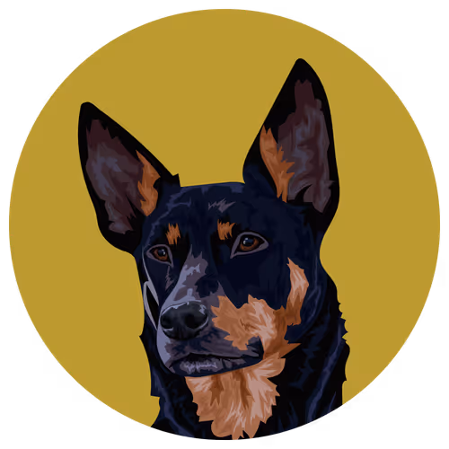 Item #54766349128176429303044182404049584425310907481653304317570413921036727746561 Media