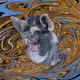 53180631642456764738139299674940583640479914081960747744151189761878099230721