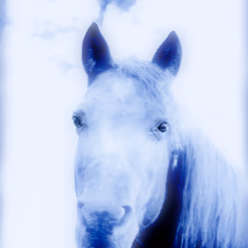 Mandy The Morgan Horse