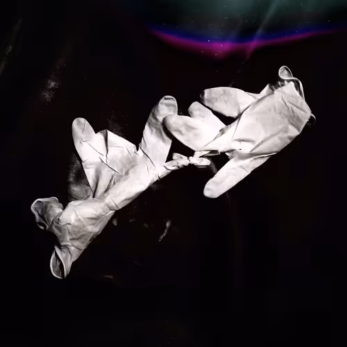 Item #19579465332489047460725573155417411555821182543570600011556976638970961068033 Media