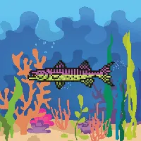 78964944229926021655968168462037545876501657311134209832205588744083018350593